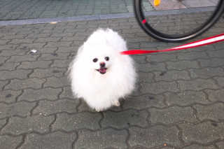 구르미별별님이 올린 리뷰 사진 4