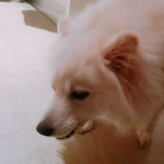 람라미님이 올린 리뷰 사진 3