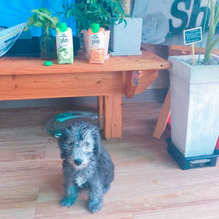 MaryChoi님이 올린 리뷰 사진 3