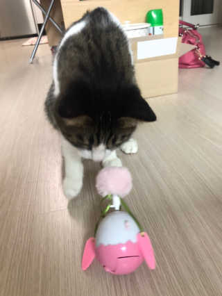 글라라5205님이 올린 리뷰 사진 4