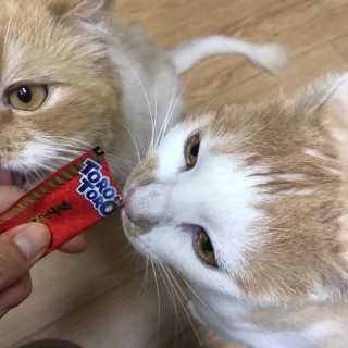지꾸님이 올린 리뷰 사진 3