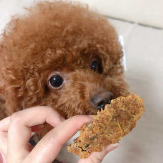 다요미님이 올린 리뷰 사진 2