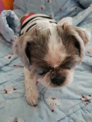카리니님이 올린 리뷰 사진 1