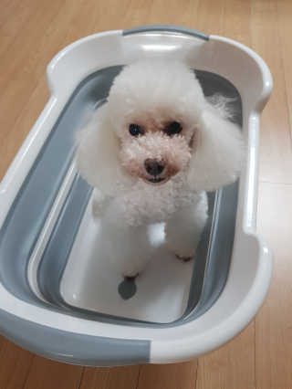 미미네님이 올린 리뷰 사진 2
