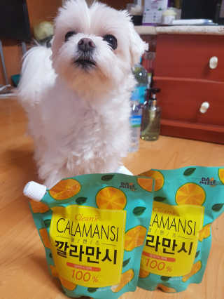 뽀오오옹님이 올린 리뷰 사진 2