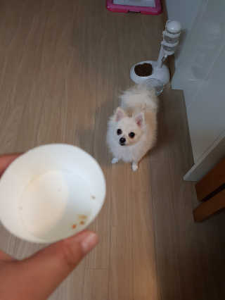 현연설이맘님이 올린 리뷰 사진 3
