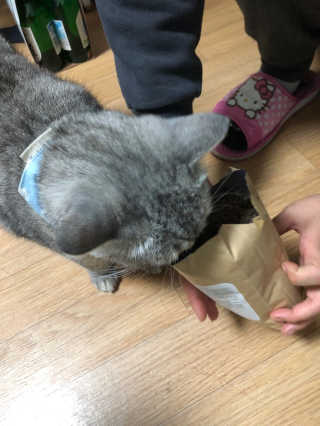 jinvely님이 올린 리뷰 사진 4