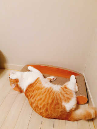 짜이야님이 올린 리뷰 사진 2