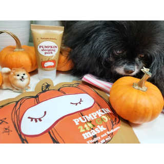 Peepingpomeranian님이 올린 리뷰 사진 1