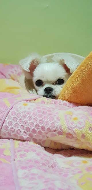 엣헴님이 올린 리뷰 사진 2