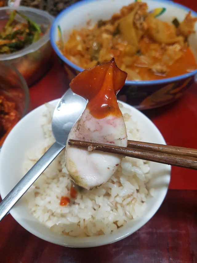 동해안 총알오징어 리뷰 사진
