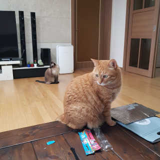 소세연님이 올린 리뷰 사진 2