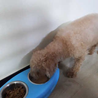 앙징징님이 올린 리뷰 사진 4