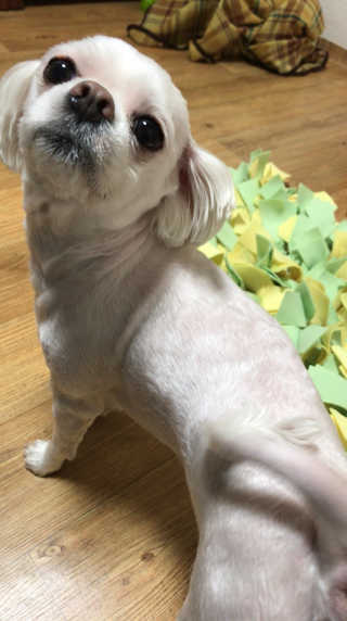 423해피니스님이 올린 리뷰 사진 4