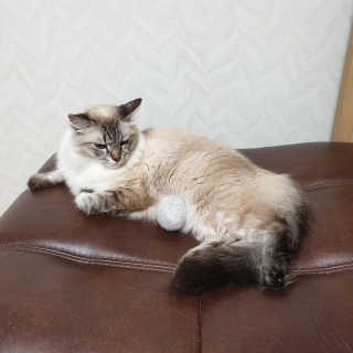 혜빈스님이 올린 리뷰 사진 2