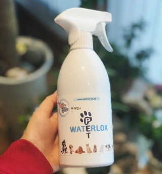 HyeSongYoon님이 올린 리뷰 사진 1