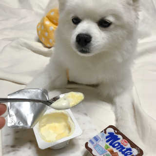 생강언니님이 올린 리뷰 사진 2