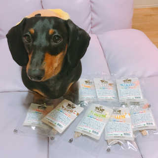 twotkdgml님이 올린 리뷰 사진 1
