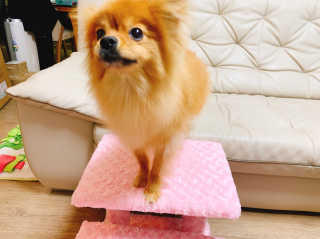 이대현님이 올린 리뷰 사진 3