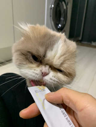 펫프렌즈 생고기가 한봉지 가득 원츄 50g — 5점을 준 리뷰어가 2020년 1월 올린 사용 사진