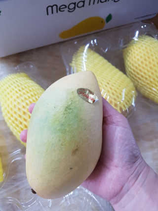 다랑님이 올린 리뷰 사진 2