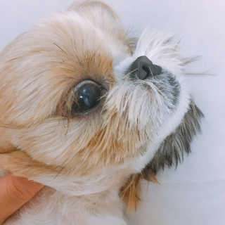 진주성님이 올린 리뷰 사진 4
