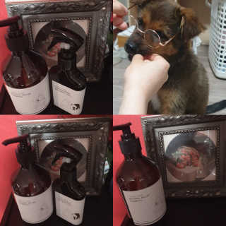 프라이걸님이 올린 리뷰 사진 4