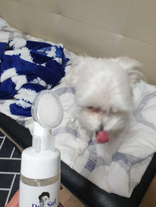 뽀기님이 올린 리뷰 사진 2