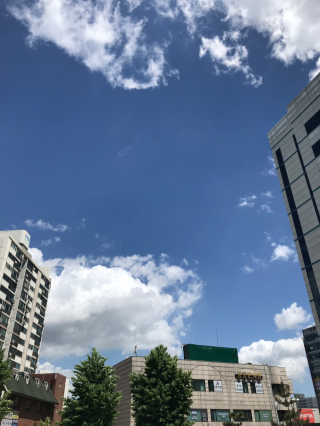 0.8L 공팔데이 0원하라 [퀴즈 이벤트] — 5점을 준 리뷰어가 2019년 5월 올린 사용 사진