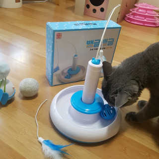 쿠로님이 올린 리뷰 사진 2