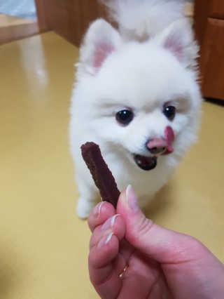 정민경님이 올린 리뷰 사진 2
