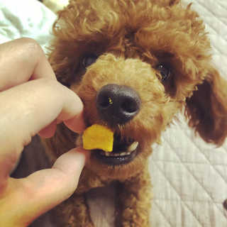 칸쵸님이 올린 리뷰 사진 1