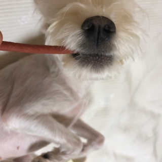 솔이님이 올린 리뷰 사진 1