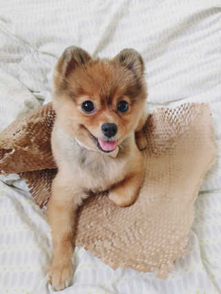 은선이짱님이 올린 리뷰 사진 3