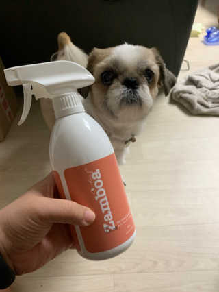 당근님이 올린 리뷰 사진 1