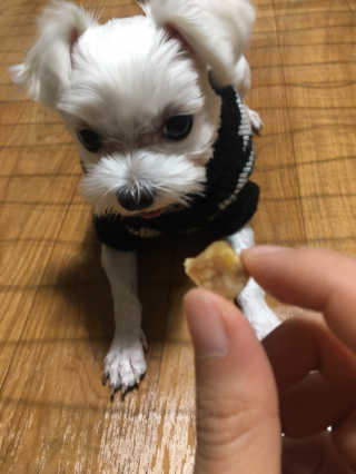 융쓰쓰님이 올린 리뷰 사진 3