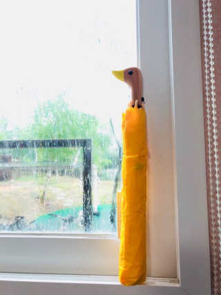 면경님이 올린 리뷰 사진 2