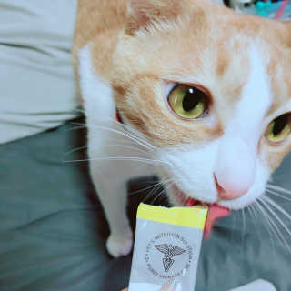 Honeyshop님이 올린 리뷰 사진 1