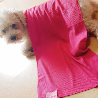 ranikkk0427님이 올린 리뷰 사진 1