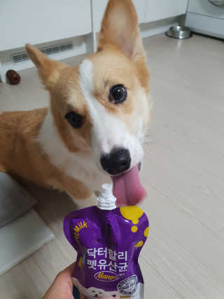 여보세요님이 올린 리뷰 사진 1