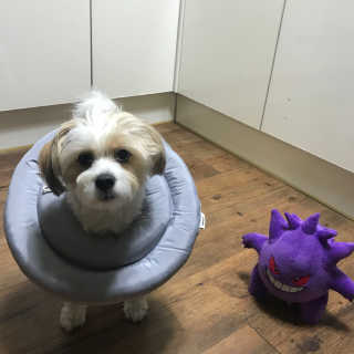 예블리님이 올린 리뷰 사진 2