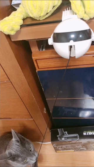 OksT님이 올린 리뷰 사진 1
