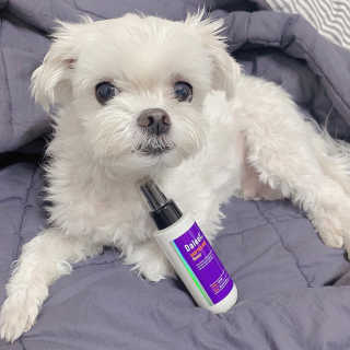 달리프 글램 헤어 데오 미스트 100ml 플라워 — 3점을 준 리뷰어가 2020년 3월 올린 사용 사진