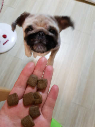 류혜미님이 올린 리뷰 사진 4
