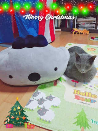 하루민님이 올린 리뷰 사진 2
