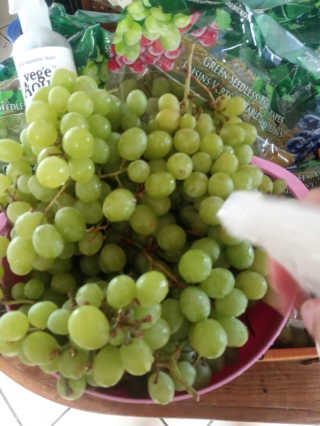 Therea Trejo님이 올린 리뷰 사진 2