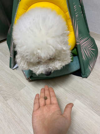 써니님이 올린 리뷰 사진 1