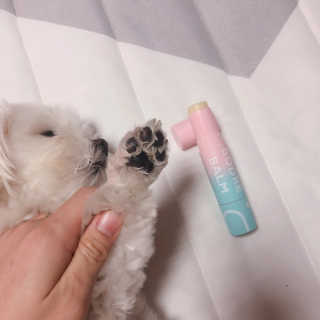 콩순이엄마님이 올린 리뷰 사진 4