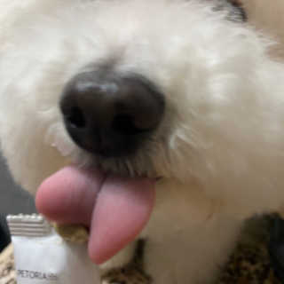 쏨님이 올린 리뷰 사진 4