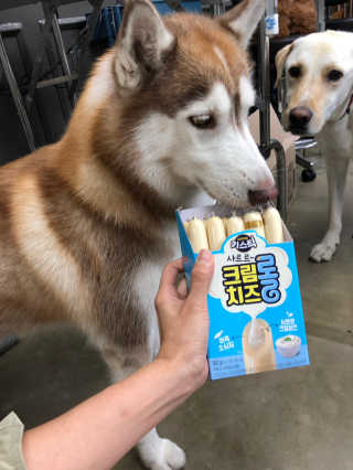 정봐기린님이 올린 리뷰 사진 3
